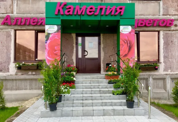 Информация о салоне «Камелия»