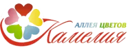 Лого компании Камелия