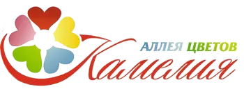 Салон «Камелия»