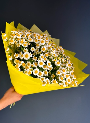 Ромашковое поле  от интернет-магазина цветов в 