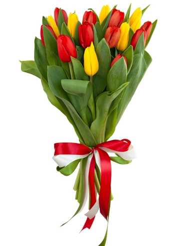 15 тюльпанов  от интернет-магазина цветов в 