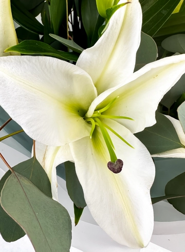 Лилия  от интернет-магазина цветов в 