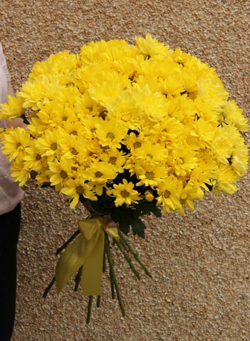 13 желтых хризантем  от интернет-магазина цветов в 