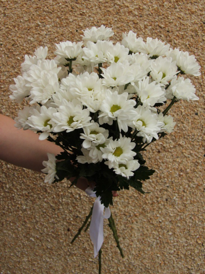 5 белых хризантем  от интернет-магазина цветов в 