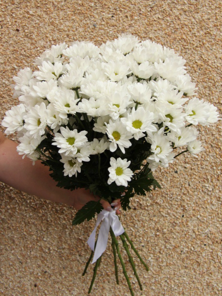 7  белых хризантем  от интернет-магазина цветов в 