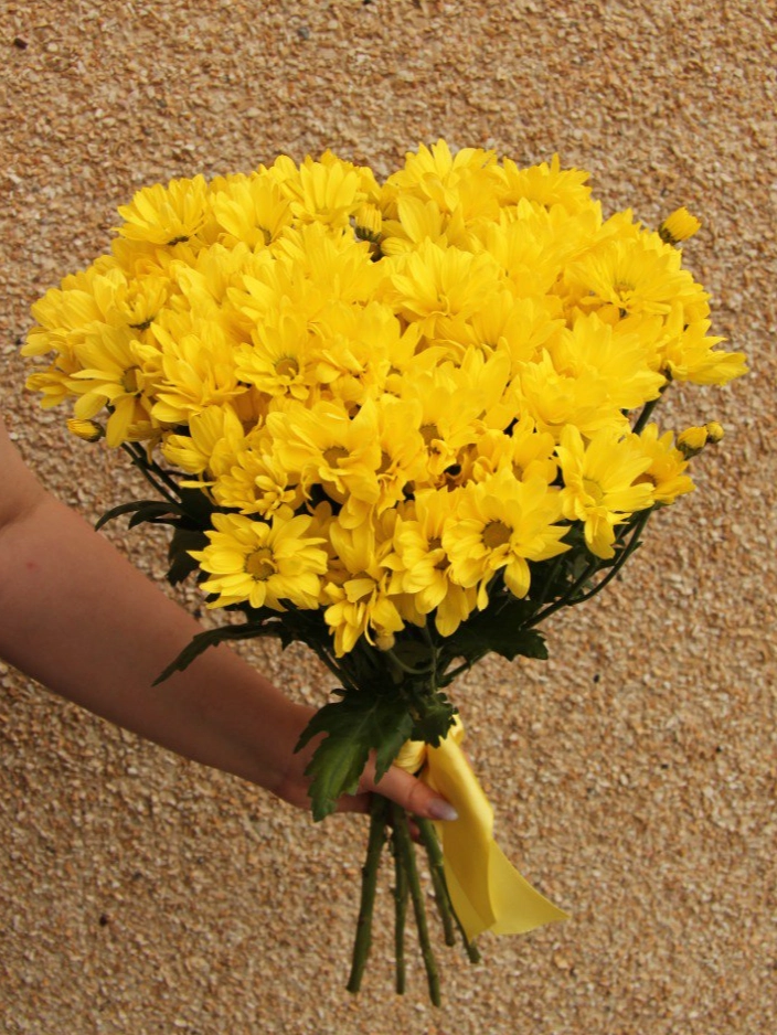 5 хризантем под ленту  от интернет-магазина цветов в 