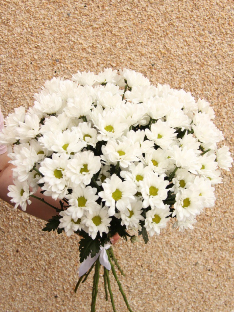 9 кустовых хризантем  от интернет-магазина цветов в 