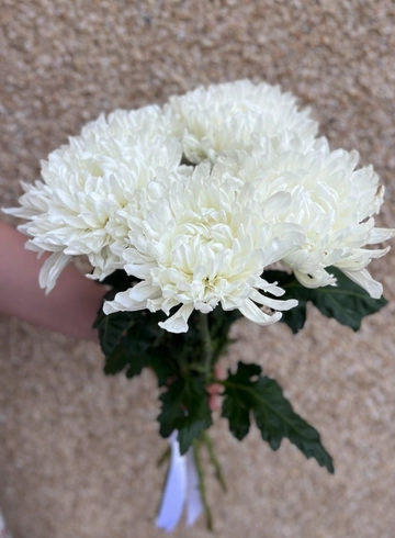 5 одноголовых хризантем  от интернет-магазина цветов в 