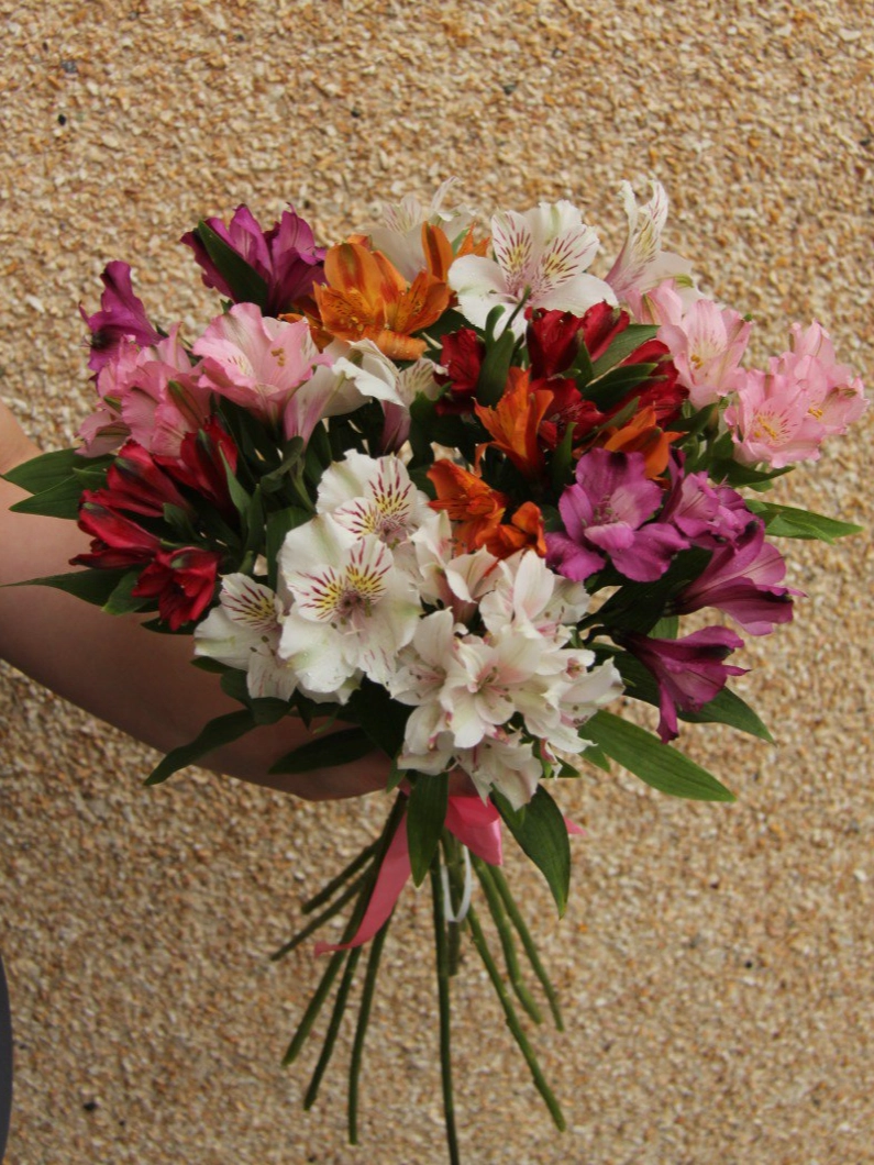 11 альстромерий под ленту от интернет-магазина цветов в 