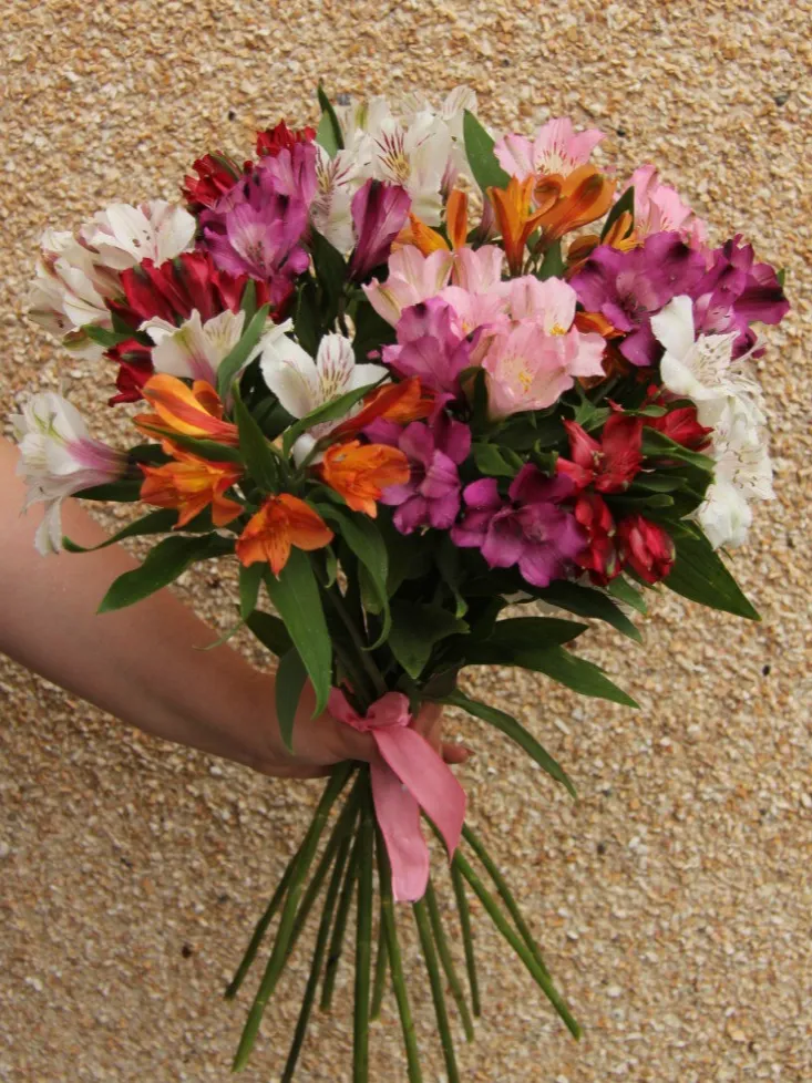 13 альстромерий  от интернет-магазина цветов в 