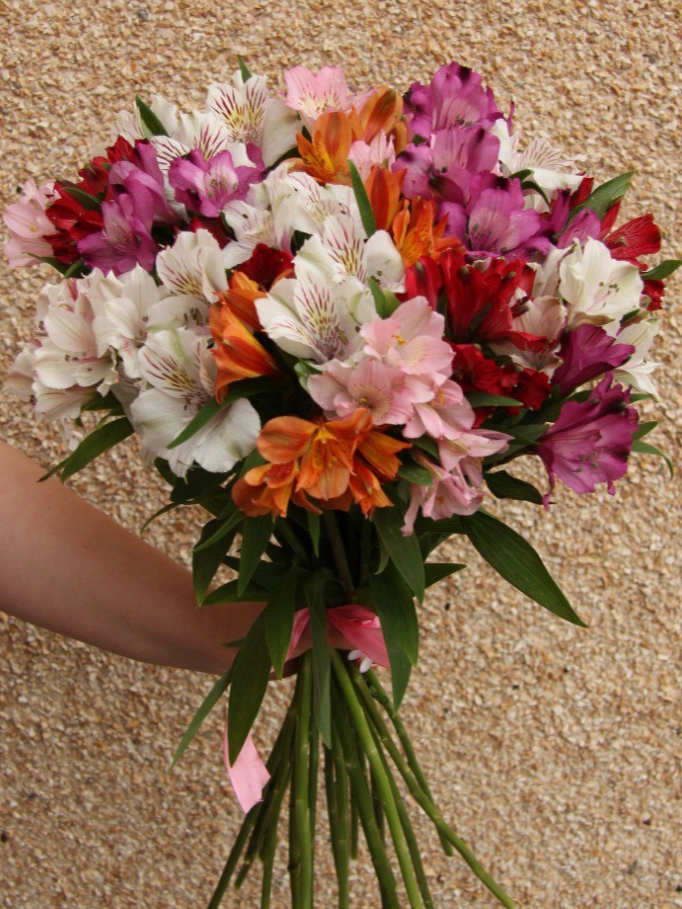 17 альстромерий  от интернет-магазина цветов в 