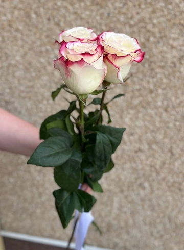 Для любимой  от интернет-магазина цветов в 