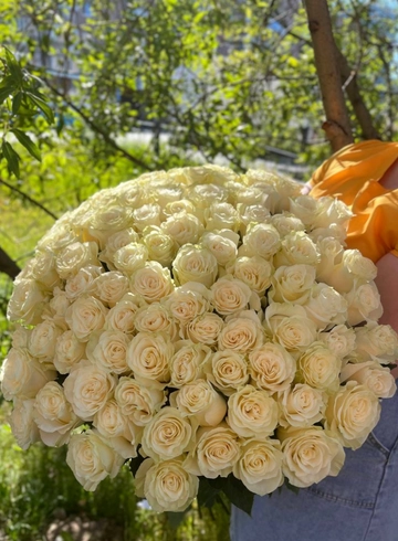 101 белая роза (Канделайт) от интернет-магазина цветов в 