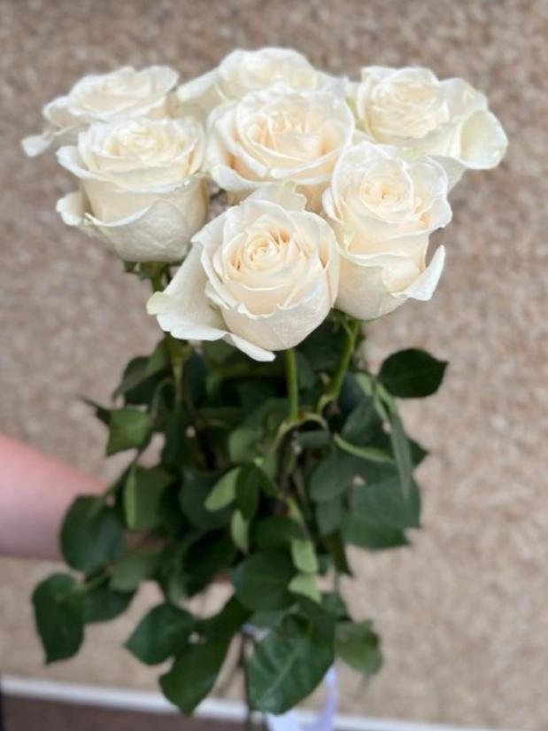 7 белых роз от интернет-магазина цветов в 