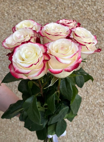 7 роз для любимой от интернет-магазина цветов в 