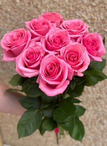 9 розовых роз от интернет-магазина цветов в 