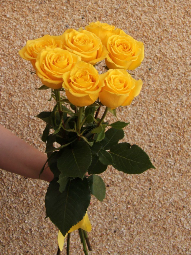 7 желтых роз от интернет-магазина цветов в 