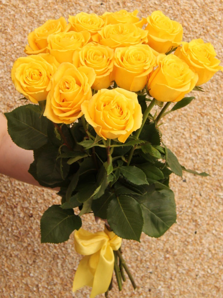 13 желтых роз от интернет-магазина цветов в 