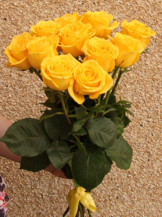 11 желтых роз  от интернет-магазина цветов в 