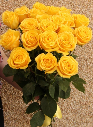 21 желтая роза от интернет-магазина цветов в 