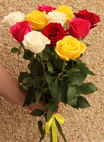 11 цветных роз от интернет-магазина цветов в 