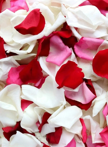 Лепестки роз от интернет-магазина цветов в 