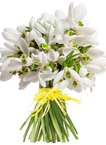 Букет с подснежниками от интернет-магазина цветов в 